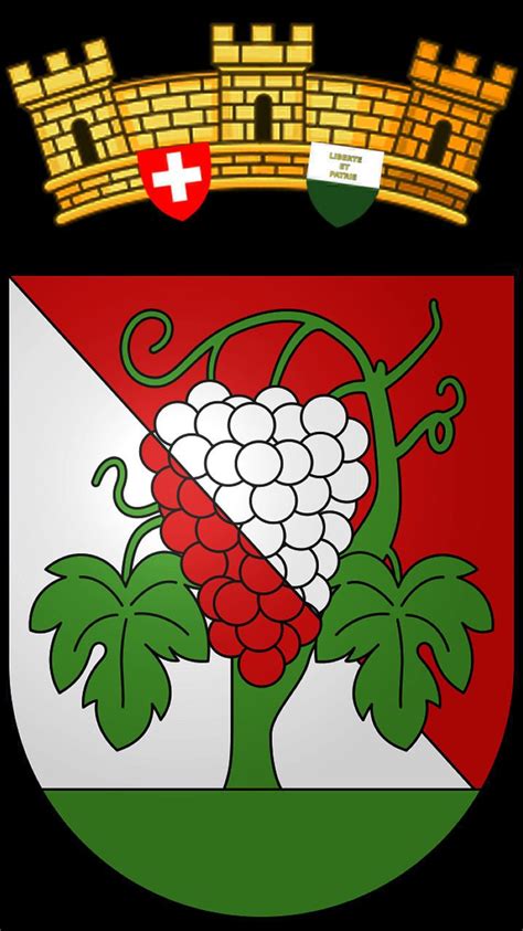 Le nouveau blason de la commune de Bourg en Lavaux est le même que l