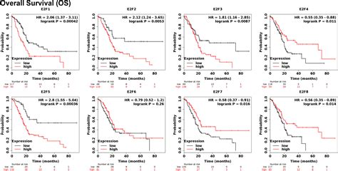 Frontiers Comprehensive Analysis Of Prognostic And Immune Infiltrates