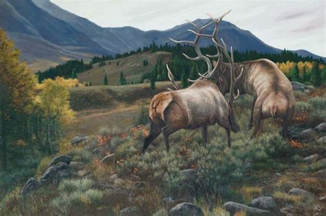 High Country Challenge—Elk Original Oil Painting | Wildlife art, Deer ...