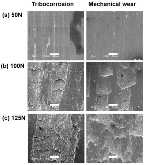 Metals Free Full Text The Tribocorrosion Behavior Of High Nitrogen