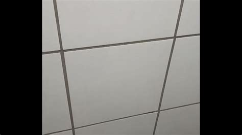 Punheta Bem Batida Videos XVIDEOS