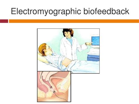 Ppt Biofeedback Therapy In Pelvic Floor Disorders Powerpoint