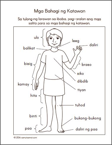 Mga bahagi ng mukha at katawan atbp worksheets samut samot – Artofit