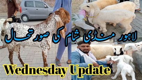 Wednesday 12 July 2023 Update Shahpur Kanjra Mandi Lahore Kajlay