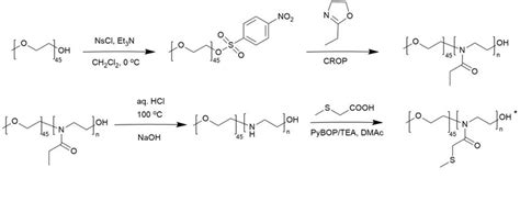 Scheme 2 Synthesis Of Thioether Containing Peg B Pmtmeox Part Of End