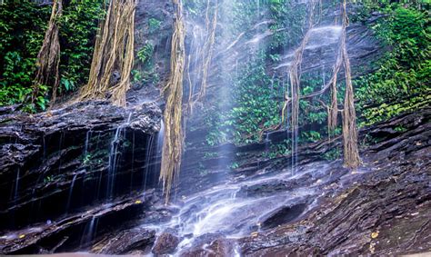 12 Best Waterfalls in Shimoga - 2025 (Photos & Reviews)