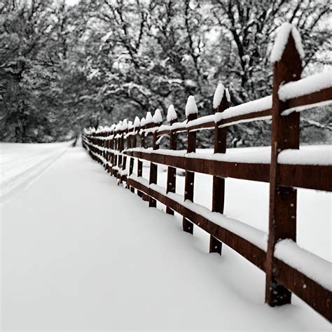 Winter Care Tips For Your Fence Protecting Your Investment