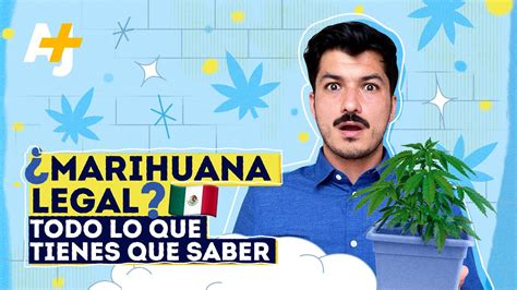 Claves Para Entender La Regulación De La Marihuana En México Youtube