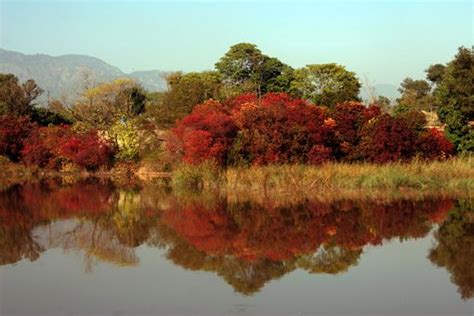 Autumn Colours At Rawal Lake Islamabad