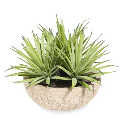 A Potted Plant With Green Leaves In It