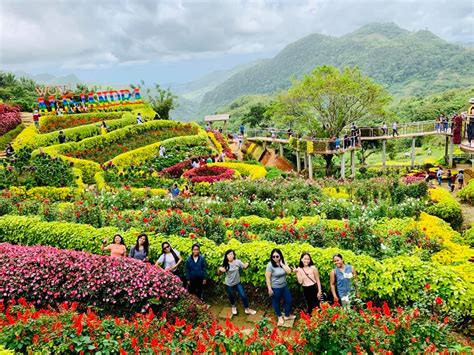 6 Most Beautiful Flower Gardens In The Philippines Visminph