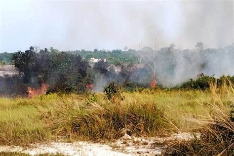 21 Titik Panas Terdeteksi Di Wilayah Kutai Timur ANTARA News