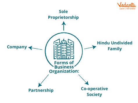 Business Organizations: Introduction, Types, Key Factors, and Case Studies