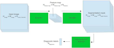 Frontiers Wasp Ecg A Wave Segmentation Pretraining Toolkit For