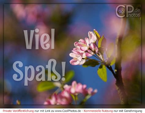 Coolphotos De Viel Spa Viel Spa