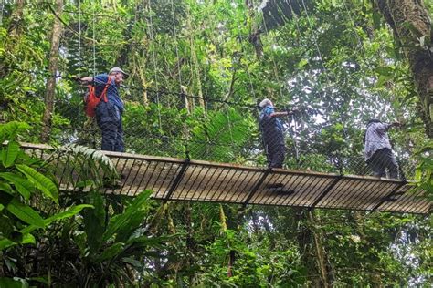 Visiting Costa Ricas Mistico Arenal Hanging Bridges Park Quirky