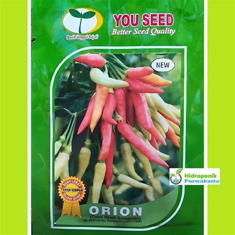 Jual Benih Cabe Cabai Rawit Dompolan Orion Gram Cap You Seed