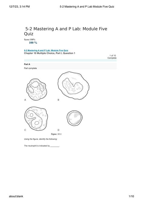 SOLUTION BIO210 5 2 Mastering A And P Lab Module Five Quiz