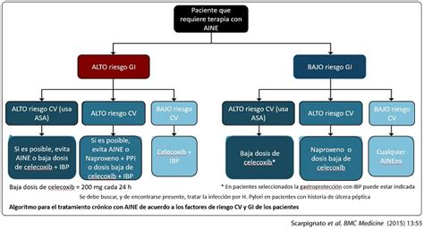 Departamento De Medicina Del Dolor Y Paliativa Incmnsz