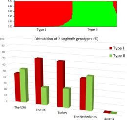 Molecular Characterisation Of Trichomonas Vaginalis Isolates In