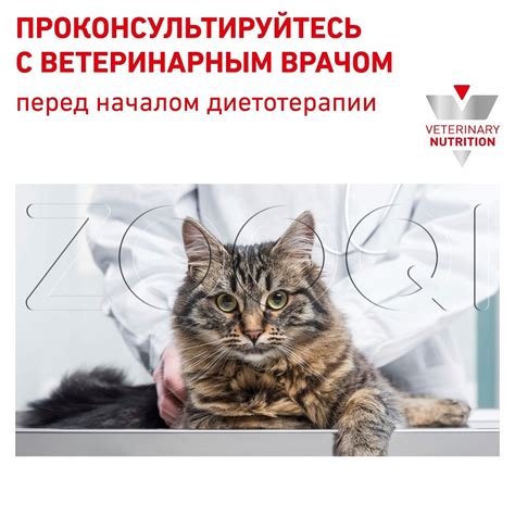 Паштет Royal Canin Renal Cat для кошек (паштет), 85 г купить в Минске, цены