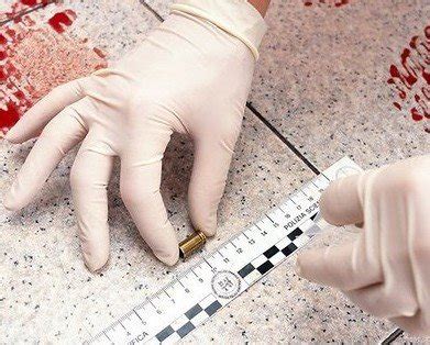 Biomedicina Tamyres Biomedicina Per Cia Criminal E Forense