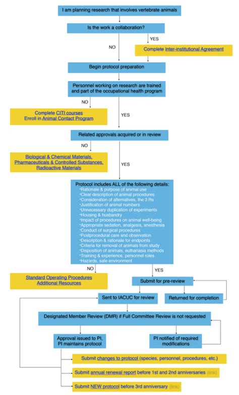 Protocol Flowchart