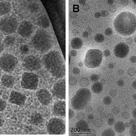 Representative Cryotransmission Electron Microscopy Cryo TEM Images