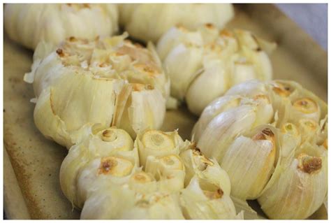 Homestead Roots Oven Roasted Garlic So Easy So Delicious