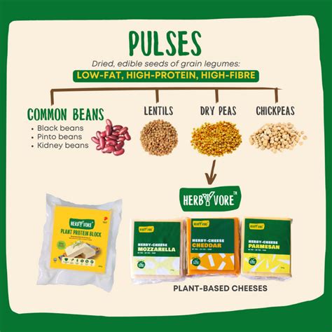 Health Benefits of Pulses – HerbYvore Foods