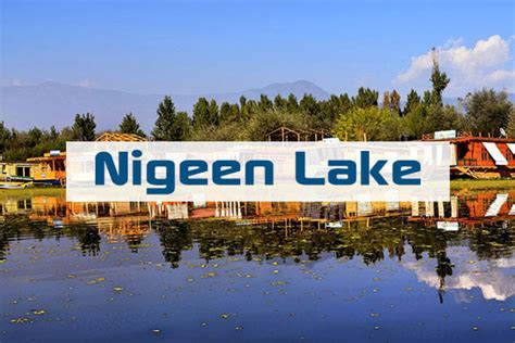 Nigeen Lake a mildly eutrophic lake located in Srinagar - The Better ...