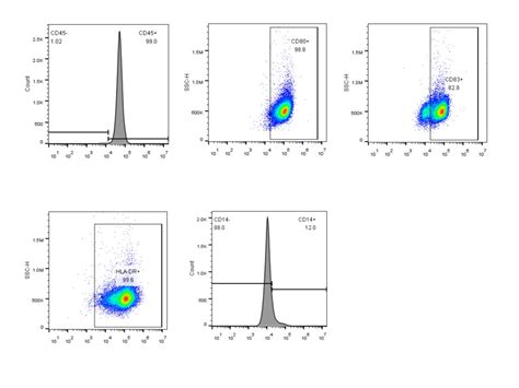 GMP Grade Recombinant Human GM CSF CSF2 Protein GMP 10015 HNAH Sino