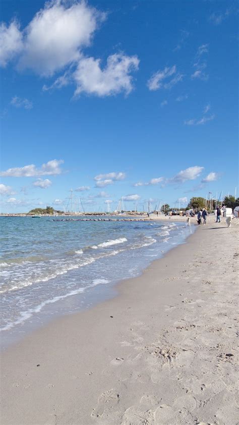 Hundestrand Niendorf Hundestrand Niendorf Ostsee Timmendorfer Strand