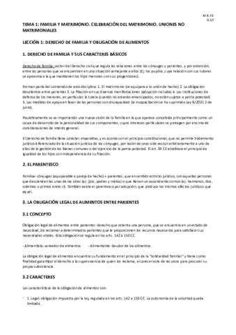 Apuntes Derecho Familia O Parcial Pdf