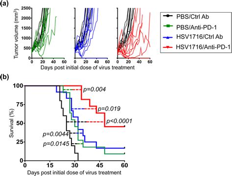 Combination Of HSV1716 With Anti PD 1 Antibody Significantly Prolongs