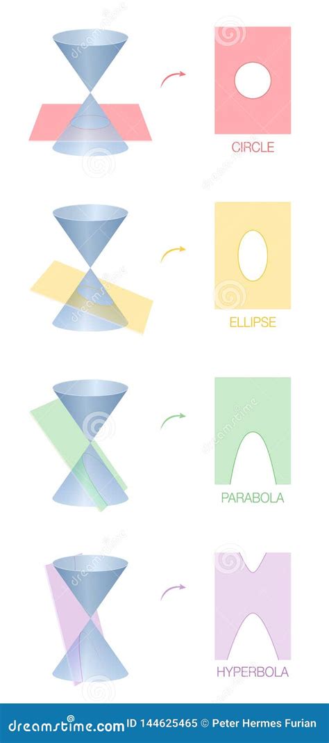 Circle Ellipse Parabola Hyperbola Conic Section Stock Vector ...