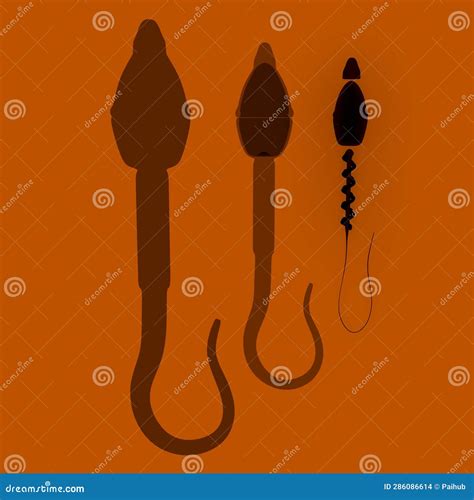Male Human Sperm Anatomy .3d Illustration Stock Illustration