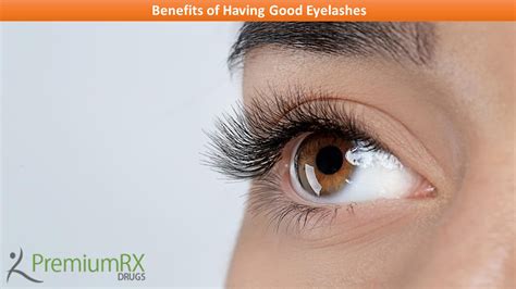 Benefits Of Having Good Eyelashes Premiumrx Online Pharmacy