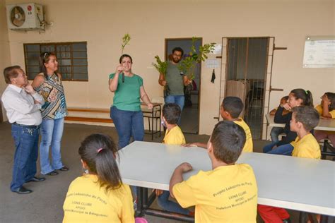 Superintend Ncia Do Meio Ambiente Celebra Dia Da Rvore