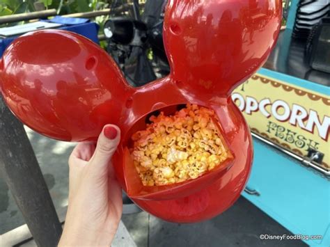 Walt Disney World Popcorn Bucket Max Lisbeth