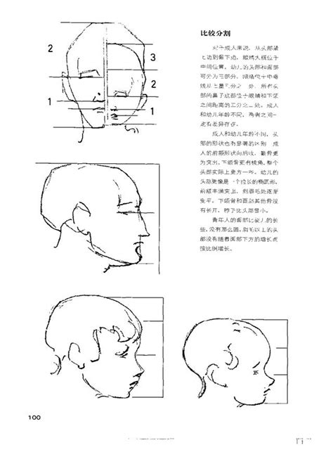 一起學習伯里曼人體結構繪畫教學（4） 每日頭條