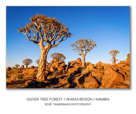 20191026-Keetmanshoop-Namibia-0192 | René Timmermans Photography