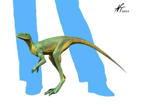 Dinosauromorpha Alchetron The Free Social Encyclopedia