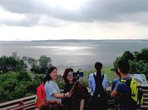 Adventures With The Naked Hermit Crabs