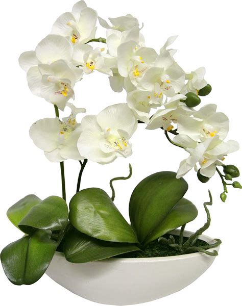 Amazon De Flair Flower Kunstblume Schmetterling Orchidee In Schale