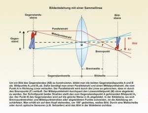 Unterrichtssoftware Biologie Unterrichtssoftware Das Auge