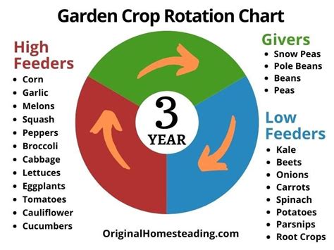 Printable Crop Rotation Chart List Crops You Plan To Grow And How Much