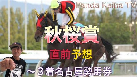 【秋桜賞】2022 直前予想〜パンダ競馬tv Tkhunt