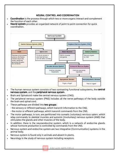 SOLUTION Neural Control And Coordination Studypool