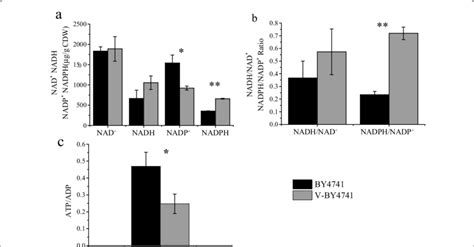 The Effect Of Vanillin On Intracellular Coenzymes And ATP NAD